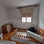 Rent 5 bedroom apartment of 110 m² in Padua