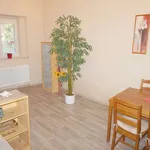 Rent 3 bedroom apartment of 69 m² in Litvínov