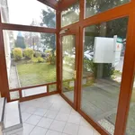 Rent 1 bedroom apartment of 41 m² in Chemnitz