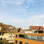 Luzernerstrasse, Cham - Amsterdam Apartments for Rent