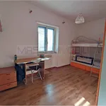 Rent 4 bedroom apartment of 120 m² in Roma