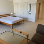 Rent 1 bedroom apartment in Auckland