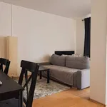 Rent 1 bedroom apartment in Beroun