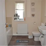 Rent 4 bedroom house in Scotland