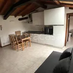 Rent 1 bedroom apartment of 40 m² in Bergamo