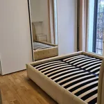 Rent 2 bedroom apartment of 60 m² in Roma