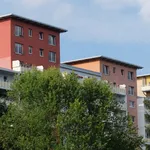 Rent 3 bedroom apartment of 72 m² in Chemnitz