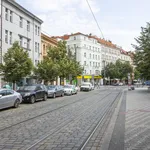 Studio o rozloze 35 m² v Prague