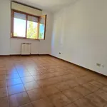 Rent 4 bedroom apartment of 105 m² in Rome