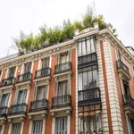 Rent a room of 260 m² in Madrid