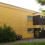 Miete 3 Schlafzimmer wohnung von 80 m² in Gütersloh