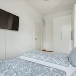 Rent 2 bedroom apartment of 50 m² in Leipzig