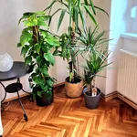 Rent 1 bedroom apartment of 50 m² in Zagreb