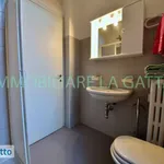 Rent 2 bedroom apartment of 60 m² in Milan