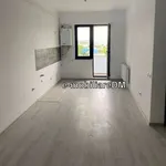 Rent 2 bedroom apartment in Ciurea