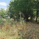 Farmhouse via San Luca, Sant'Agata Bolognese