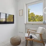 Rent 1 bedroom apartment of 28 m² in Wiesbaden