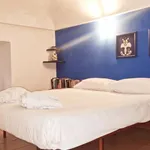 Rent 1 bedroom apartment in turin