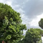 Rent 1 bedroom apartment of 30 m² in Ravenna