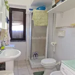 Rent 2 bedroom apartment of 80 m² in borgia