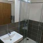 Rent 1 bedroom apartment in  Prosek                        					