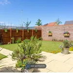 Rent 4 bedroom house in North East England