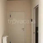 Rent 1 bedroom apartment of 100 m² in Mantova