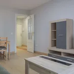 Rent 2 bedroom apartment in madrid