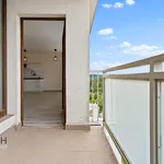 Rent 1 bedroom apartment in Náchod