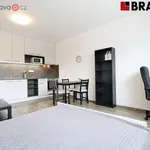 Rent 1 bedroom apartment of 28 m² in Brno