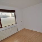 Rent 3 bedroom house of 100 m² in Eindhoven