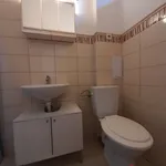 Pronajměte si 1 ložnic/e byt o rozloze 45 m² v Prague