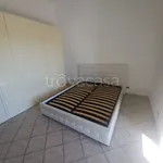 Rent 3 bedroom apartment of 110 m² in Roma