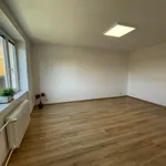 Rent 1 bedroom apartment in Ostrava