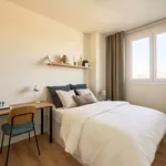 Alquilar 2 dormitorio apartamento en Madrid