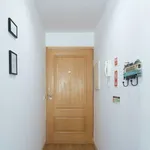 Rent 1 bedroom apartment in Porto