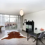 Rent 2 bedroom apartment of 90 m² in The Hague