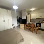 Rent 1 bedroom apartment of 35 m² in Rome