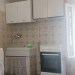 Rent 2 bedroom apartment of 50 m² in Bologna