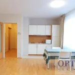 Pronajměte si 1 ložnic/e byt o rozloze 36 m² v Capital City of Prague