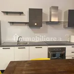 Rent 2 bedroom apartment of 50 m² in Turin