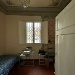 Rent 4 bedroom apartment of 85 m² in Florence