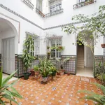 Rent 1 bedroom apartment of 50 m² in seville