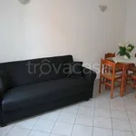 Rent 3 bedroom apartment of 70 m² in Monza