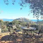 Rent 8 bedroom house of 250 m² in Monte Argentario