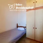 Rent 1 bedroom apartment in Palau