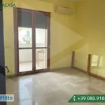 Rent 3 bedroom apartment of 85 m² in Bari