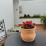 Alquilo 4 dormitorio apartamento de 55 m² en Seville