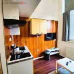 Rent 1 bedroom apartment in Trhový Štěpánov