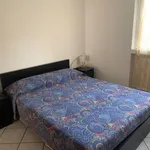 Rent 1 bedroom apartment of 60 m² in Segrate MI